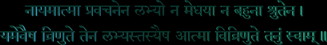 naayamaatmaa prawachanena labhyo